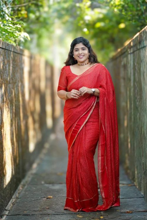 Bhadra Pure Viscose Georgette Saree
