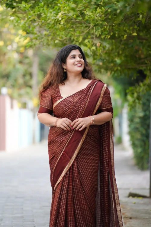 Badhra Brown Pure Viscose Georgette Saree