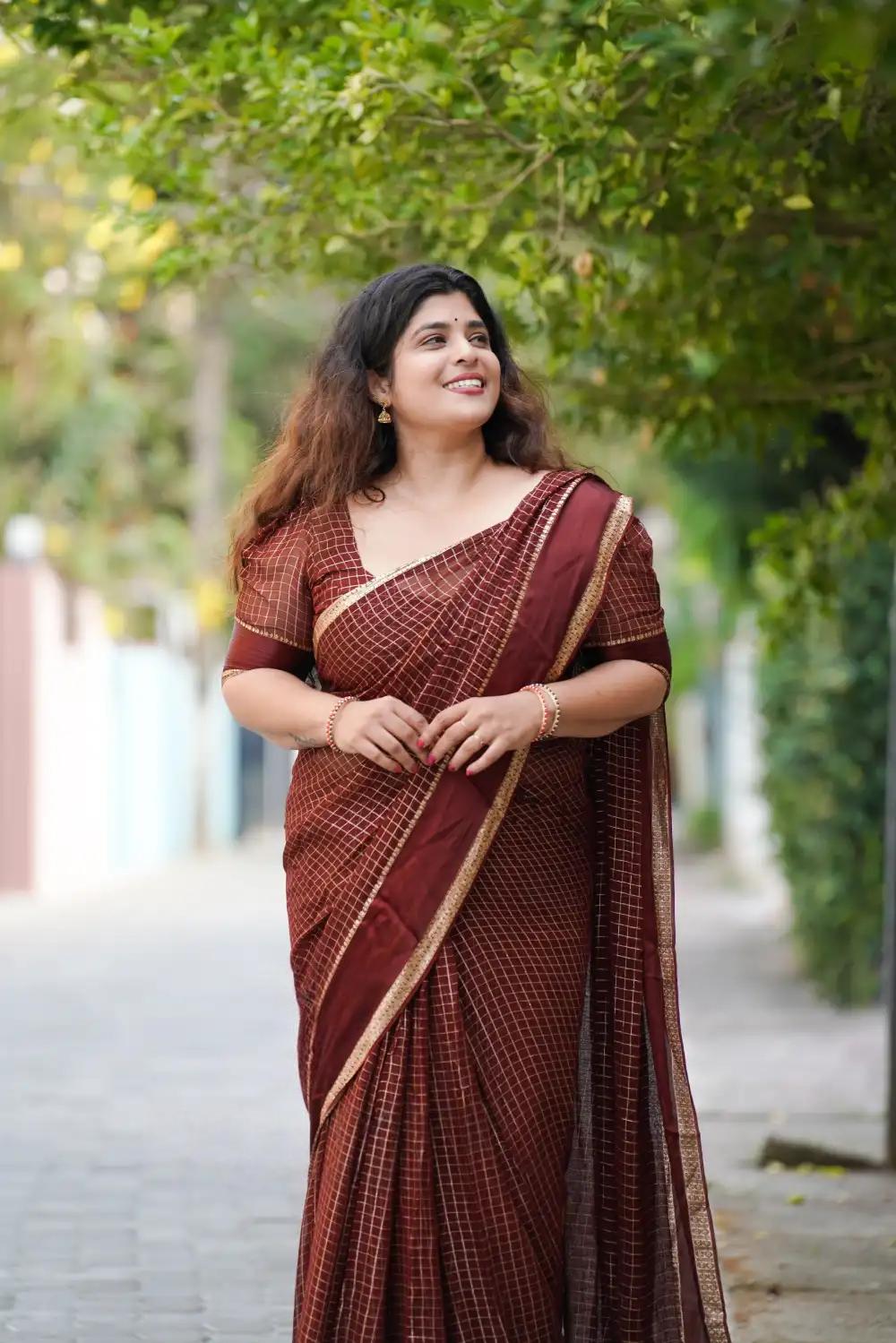 Badhra Brown Pure Viscose Georgette Saree