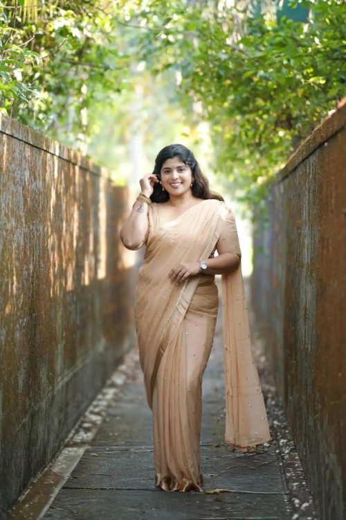 Chanjal Viscose Georgette Saree