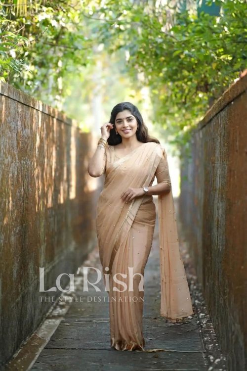 Chanjal Viscose Georgette Saree