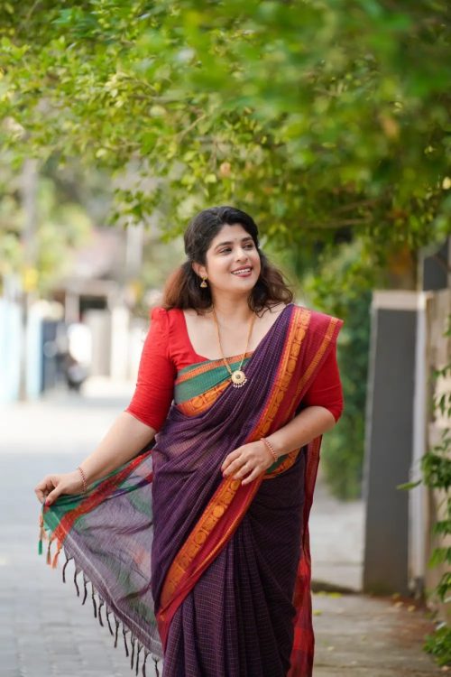 Rajlaxmi Pure Narayanpet Saree