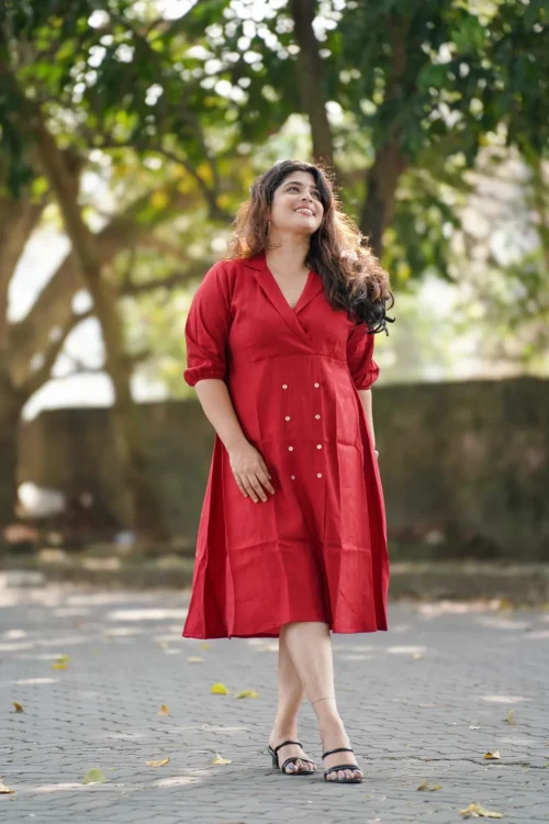 Plum Elegant Burfi Plain Dress