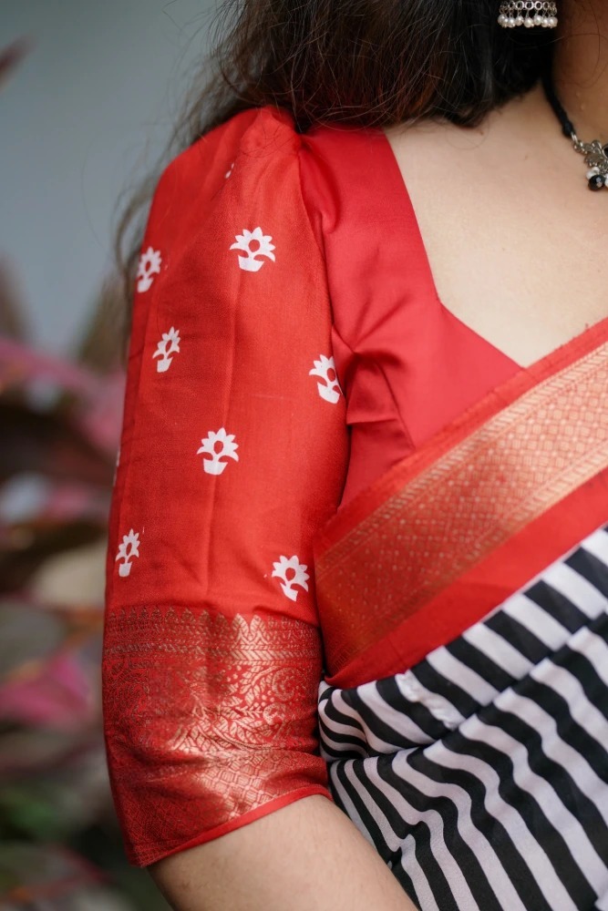 Rudra Dola Jacquard Saree - Image 4